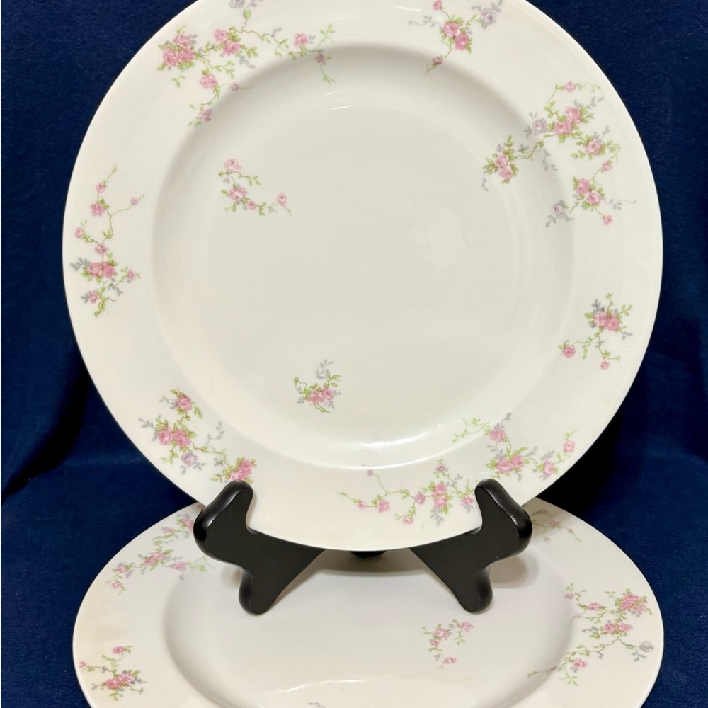 Theodore Haviland New York Made in USA Pink Spray Set of 9 10 1/4" Dinner Plates - Picture 8 of 11